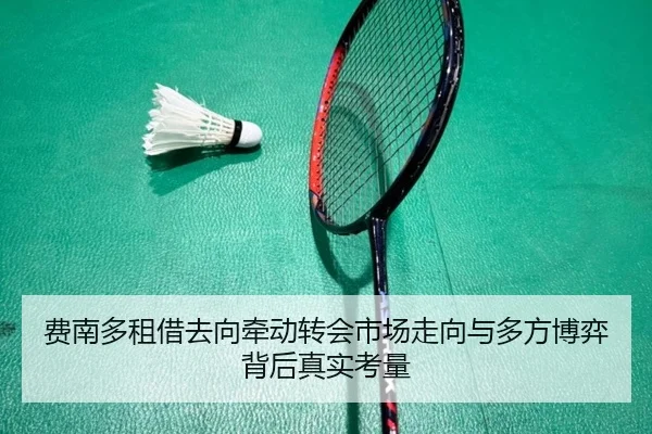 费南多租借去向牵动转会市场走向与多方博弈背后真实考量 | dongqiudi